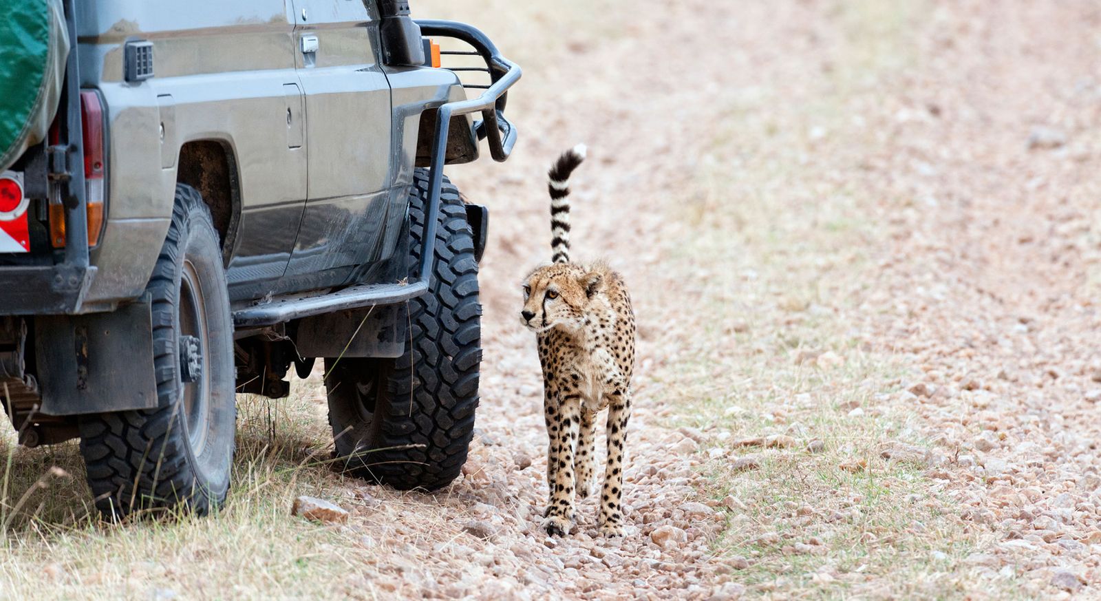 Laikipia Plateau National Park