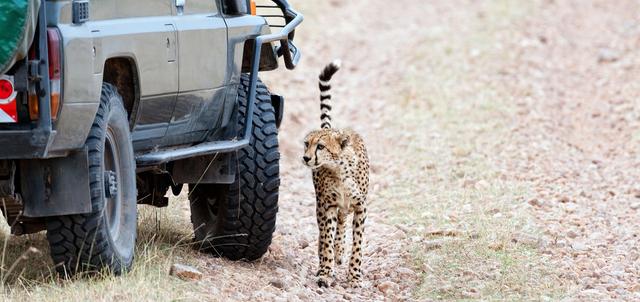 Laikipia Plateau National Park Laikipia Plateau National Park