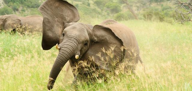Lugenda River Canoeing Safari Lugenda River Canoeing Safari