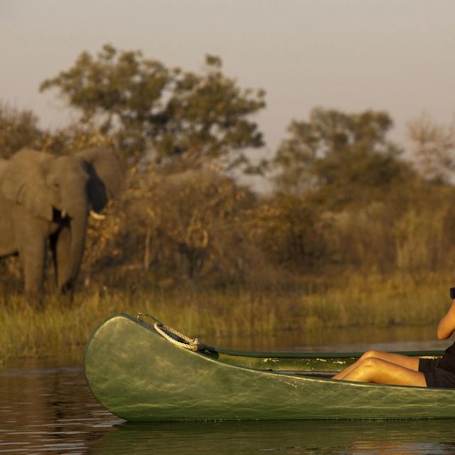 Selinda Explorer Camp Selinda Explorer Camp