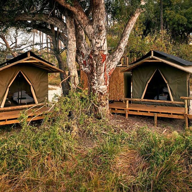 Oddballs' Camp Oddballs' Camp