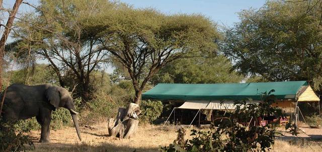 Mdonya Old River Camp Mdonya Old River Camp