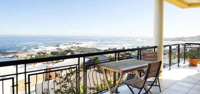 Primi Royal Primi Royal