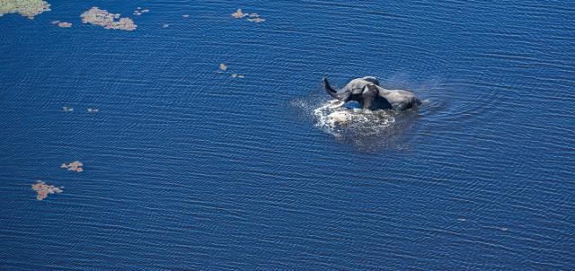 Sitatunga Private Island Camp  Sitatunga Private Island Camp