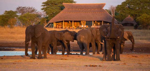 Hwange Explorer Hwange Explorer