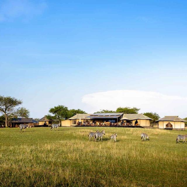 Singita Sabora Tented Camp Singita Sabora Tented Camp