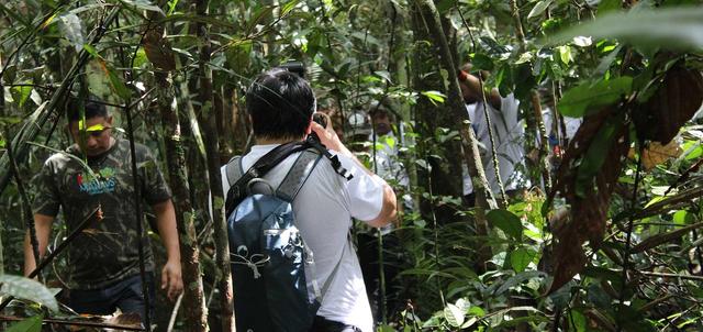 Best of Brazil Best of Brazil