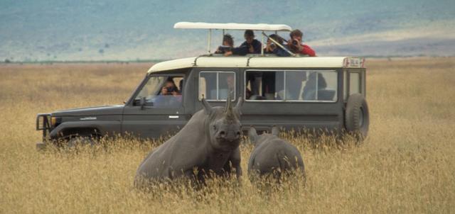 Stanley's Kopje Stanley's Kopje