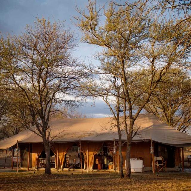 Serian Serengeti Lamai Serian Serengeti Lamai