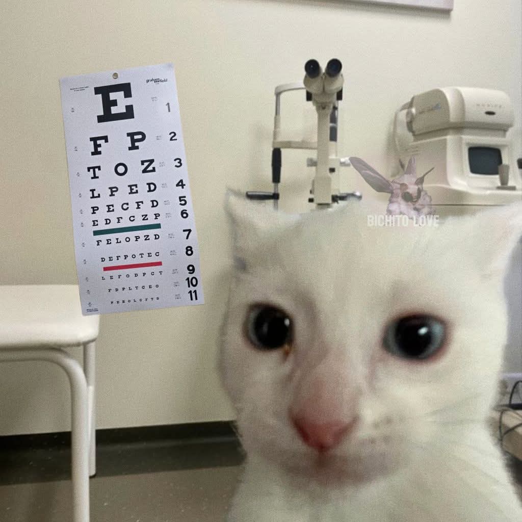 Optometrista Dana Hernandez