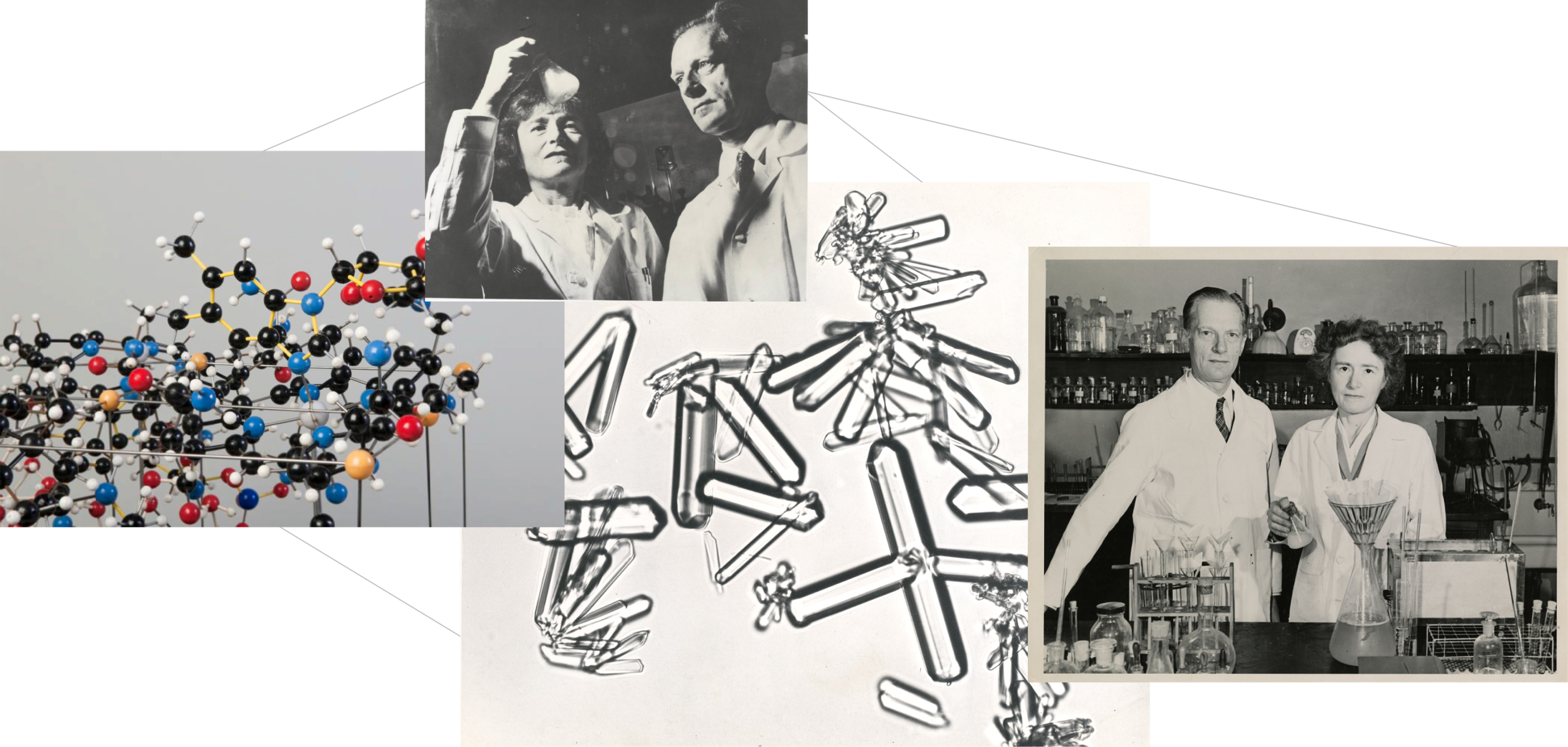 nobel collage