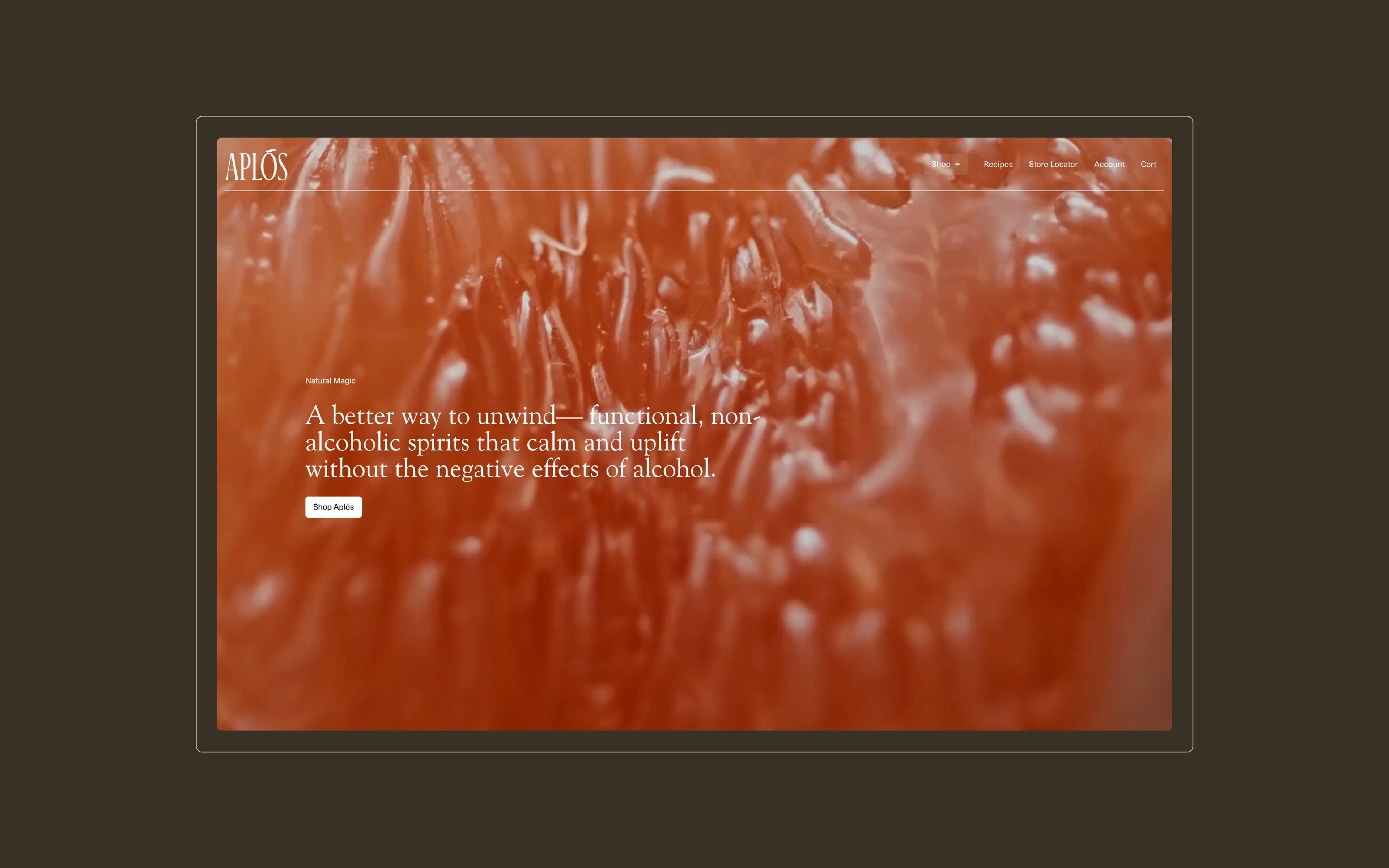 Aplós - Homepage - 01