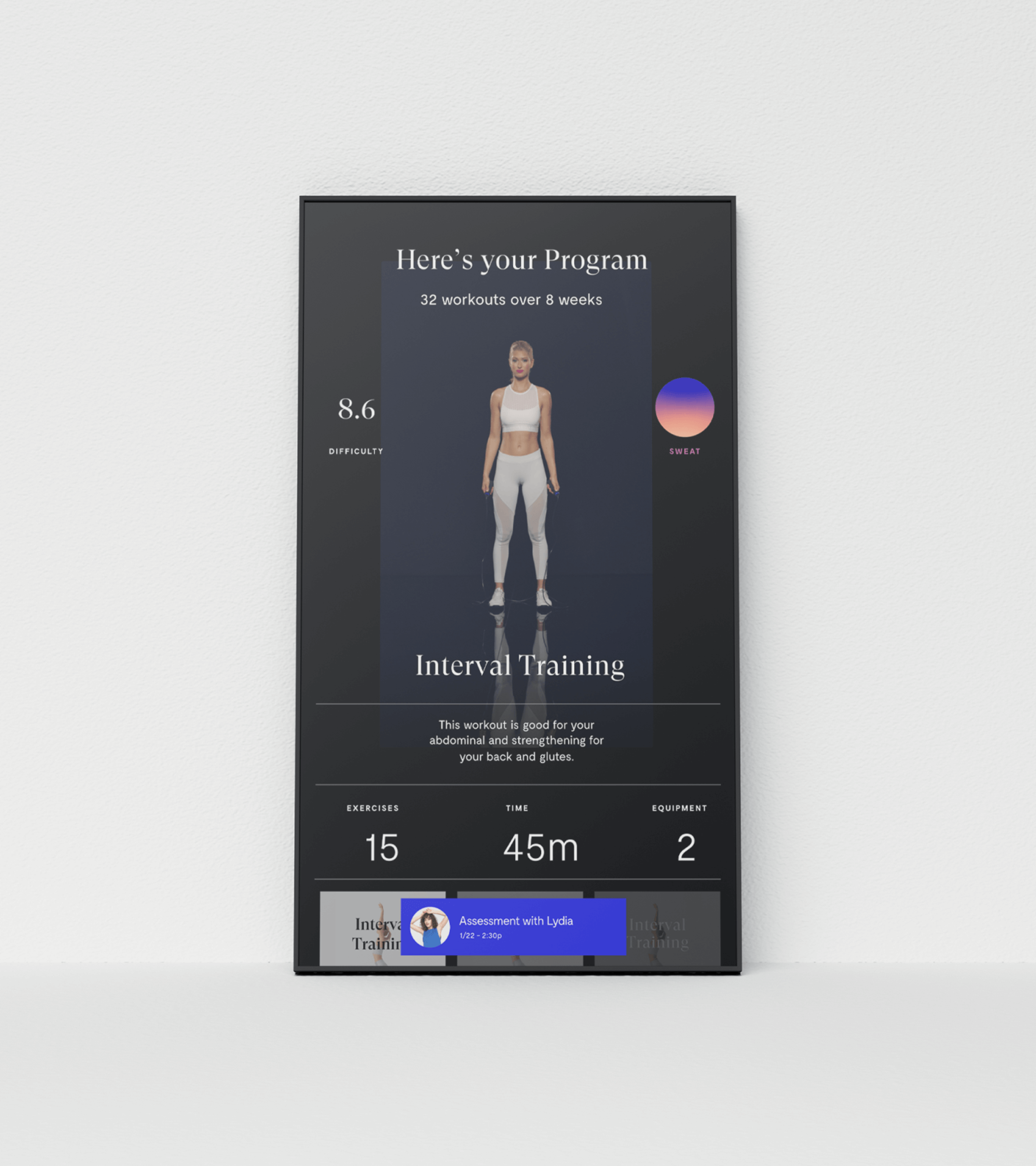 Mirror Device Program