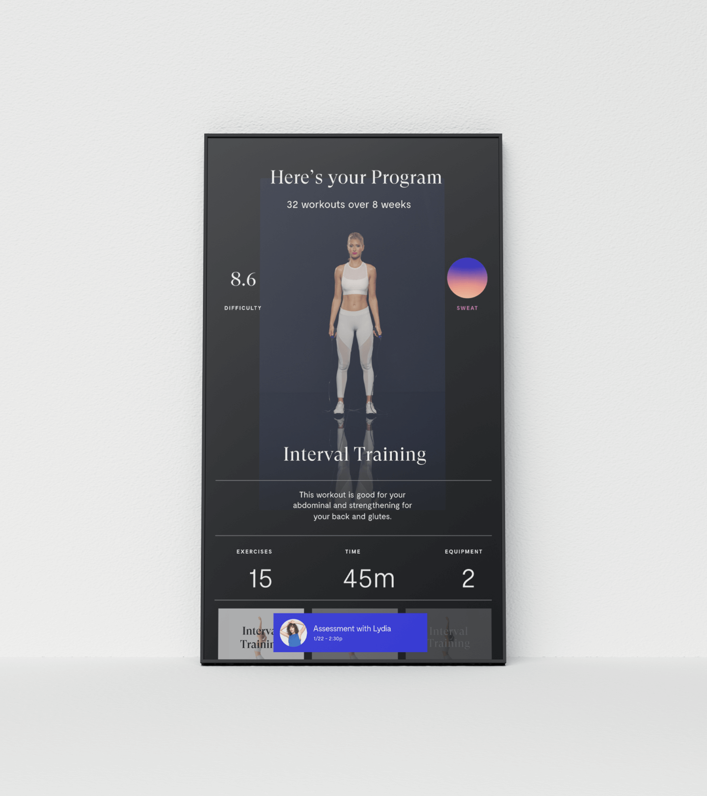 Mirror Device Program