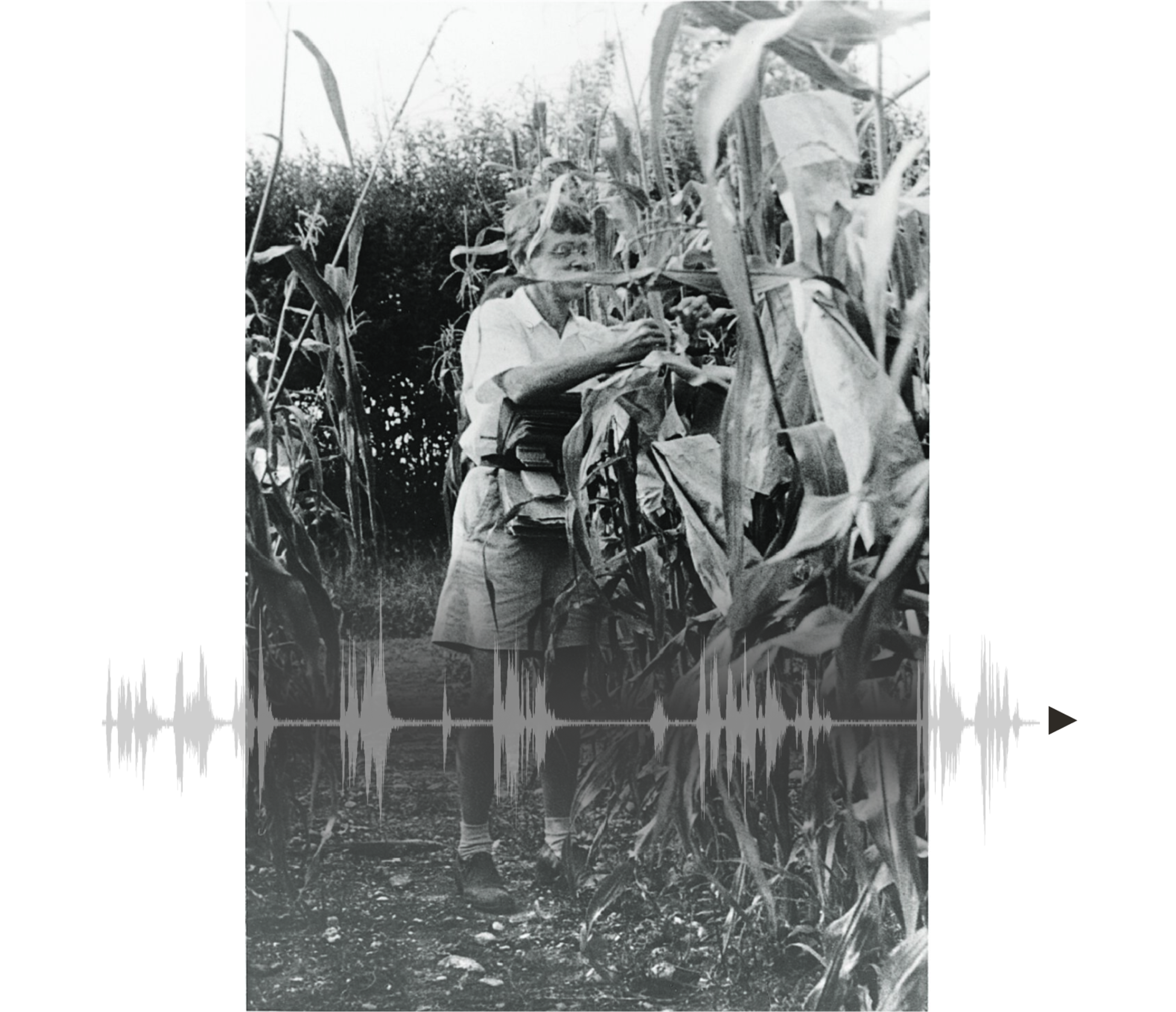 Nobel Audio Clip Preview