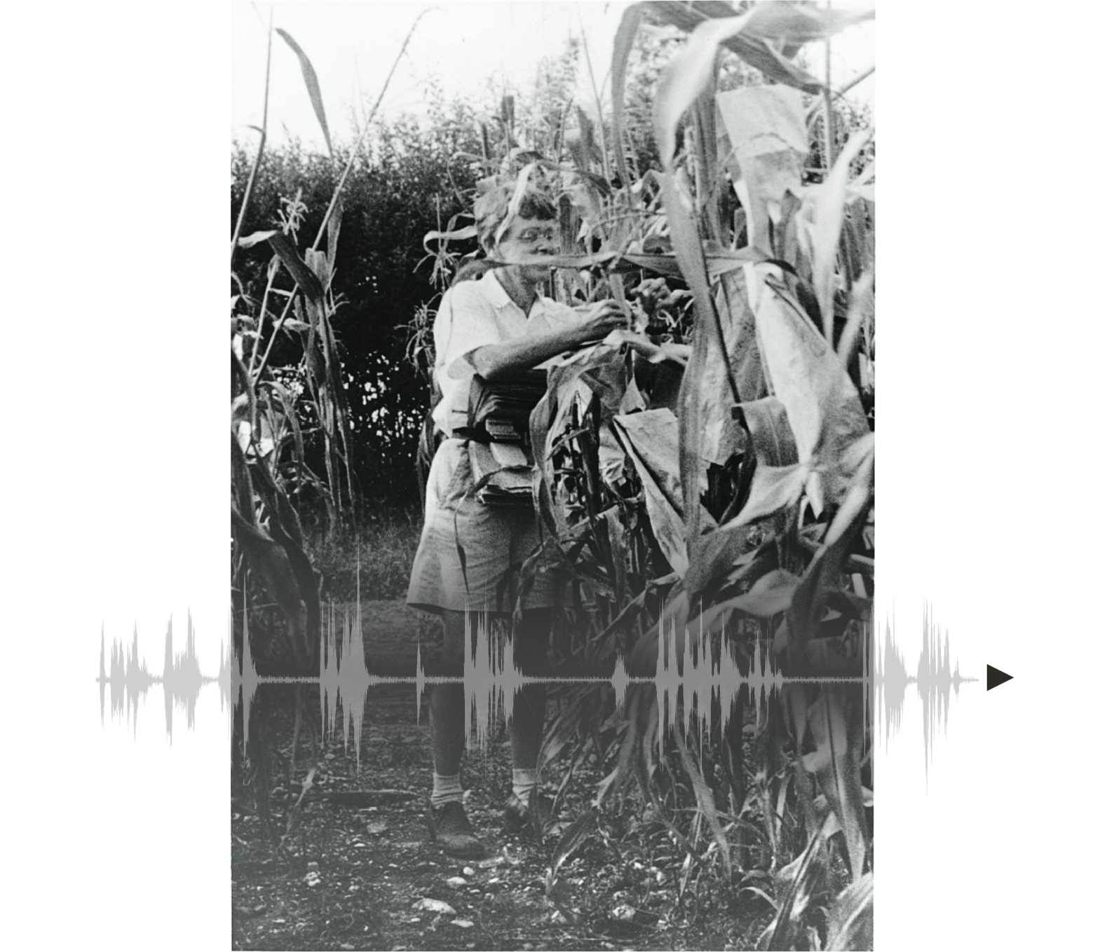 Nobel Audio Clip Preview