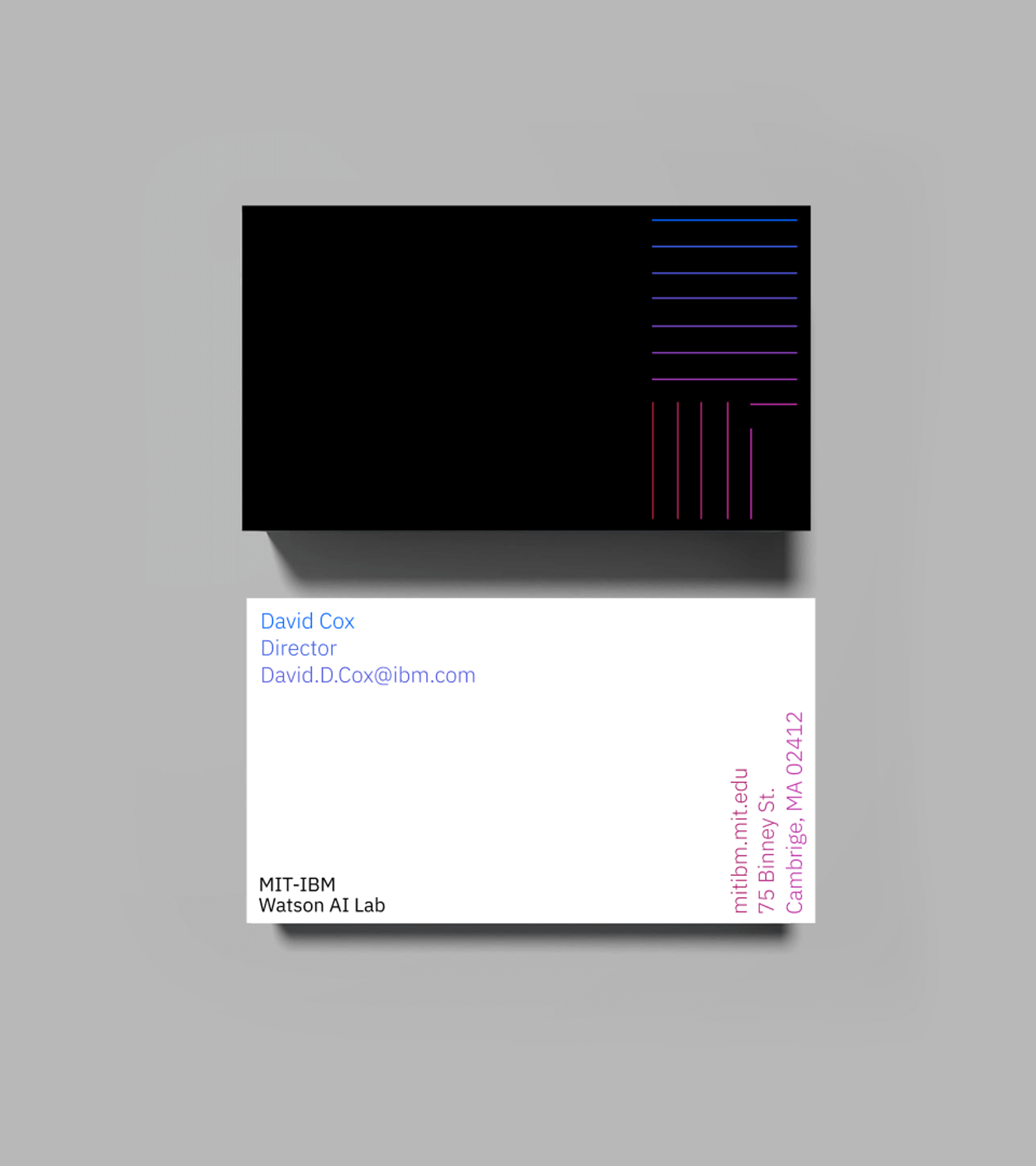 MIT-IBM Business Cards