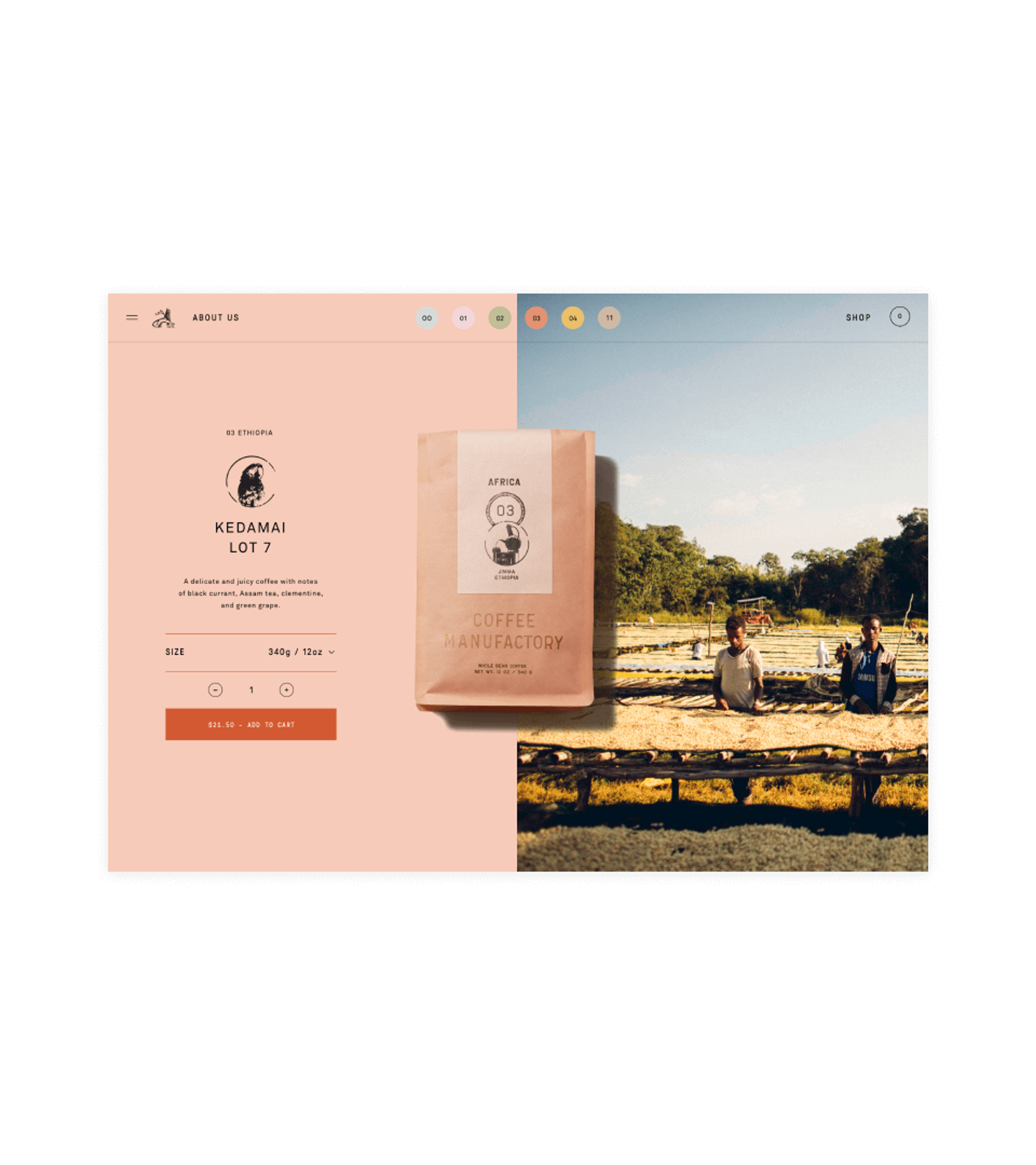 Product detail page