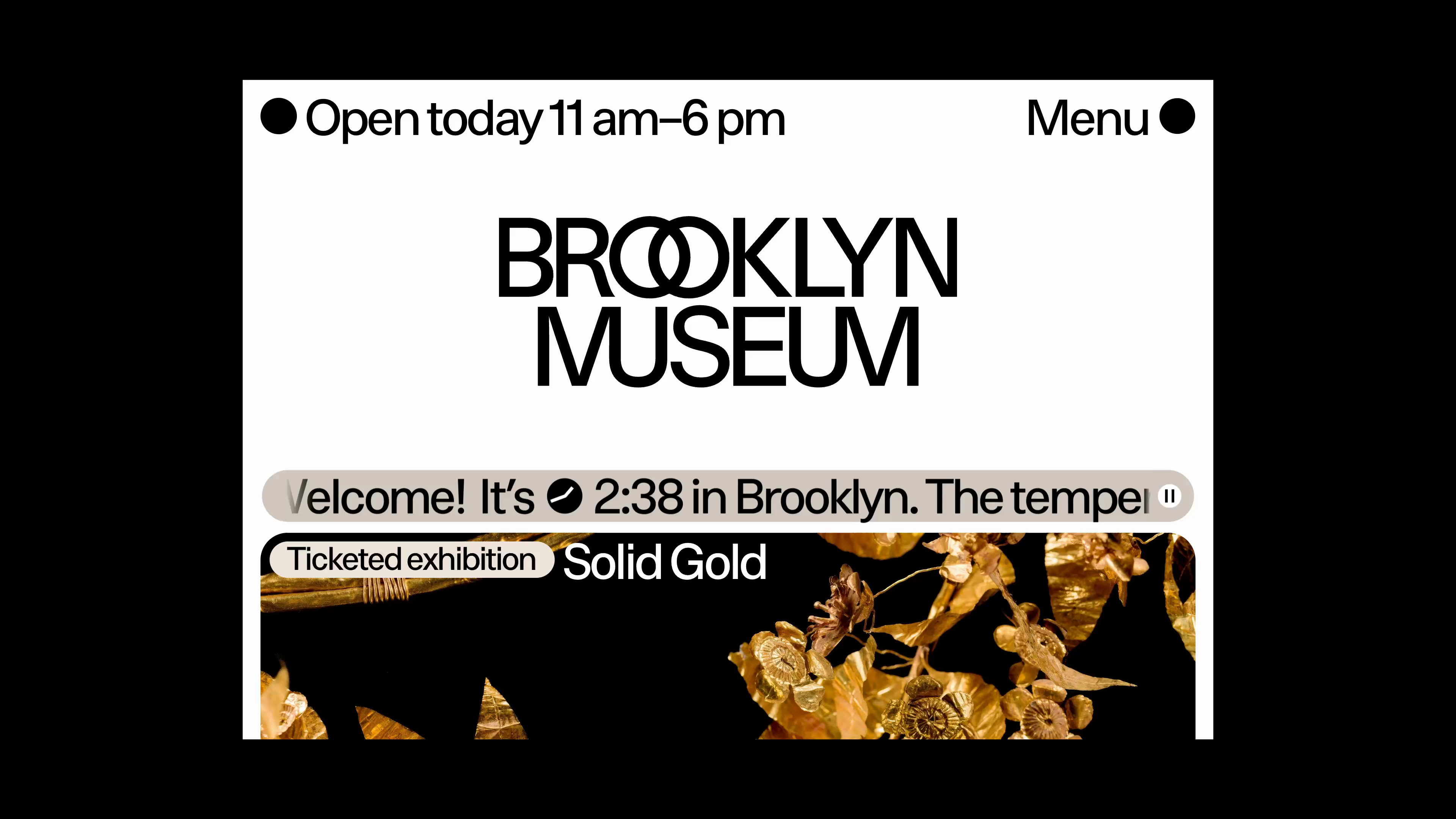 Brooklyn Museum Video