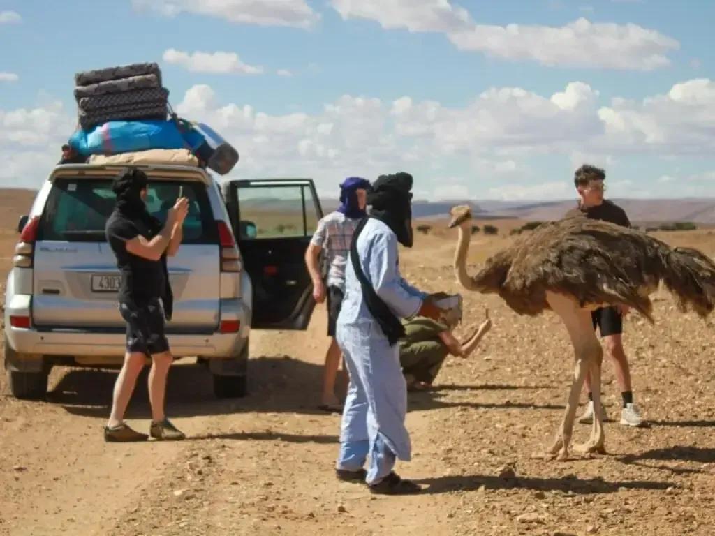 Circuit 2 jours au départ de Ouarzazate vers Erg Chegaga en 4x4