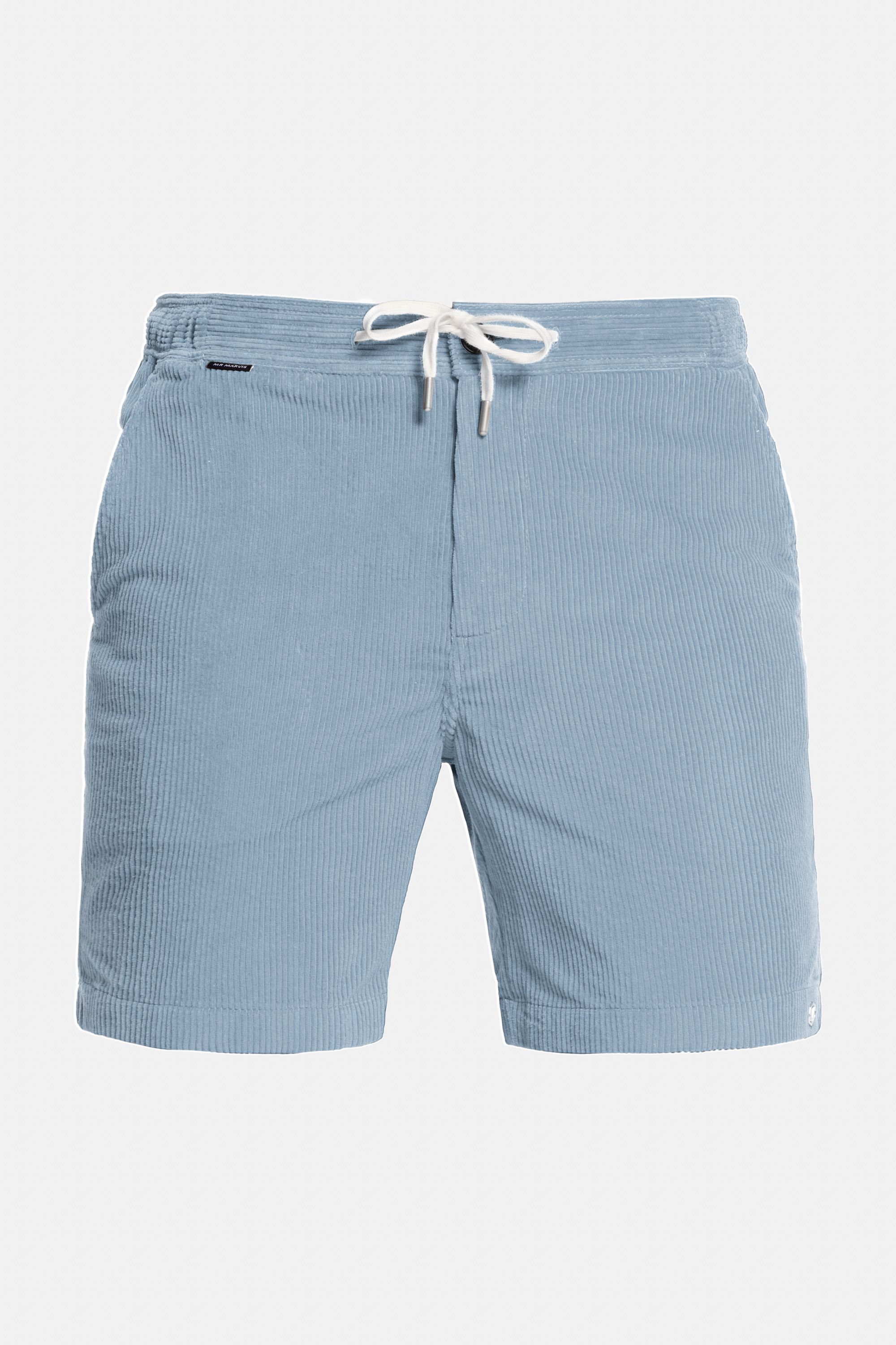 Antarctics Shorts en Velours