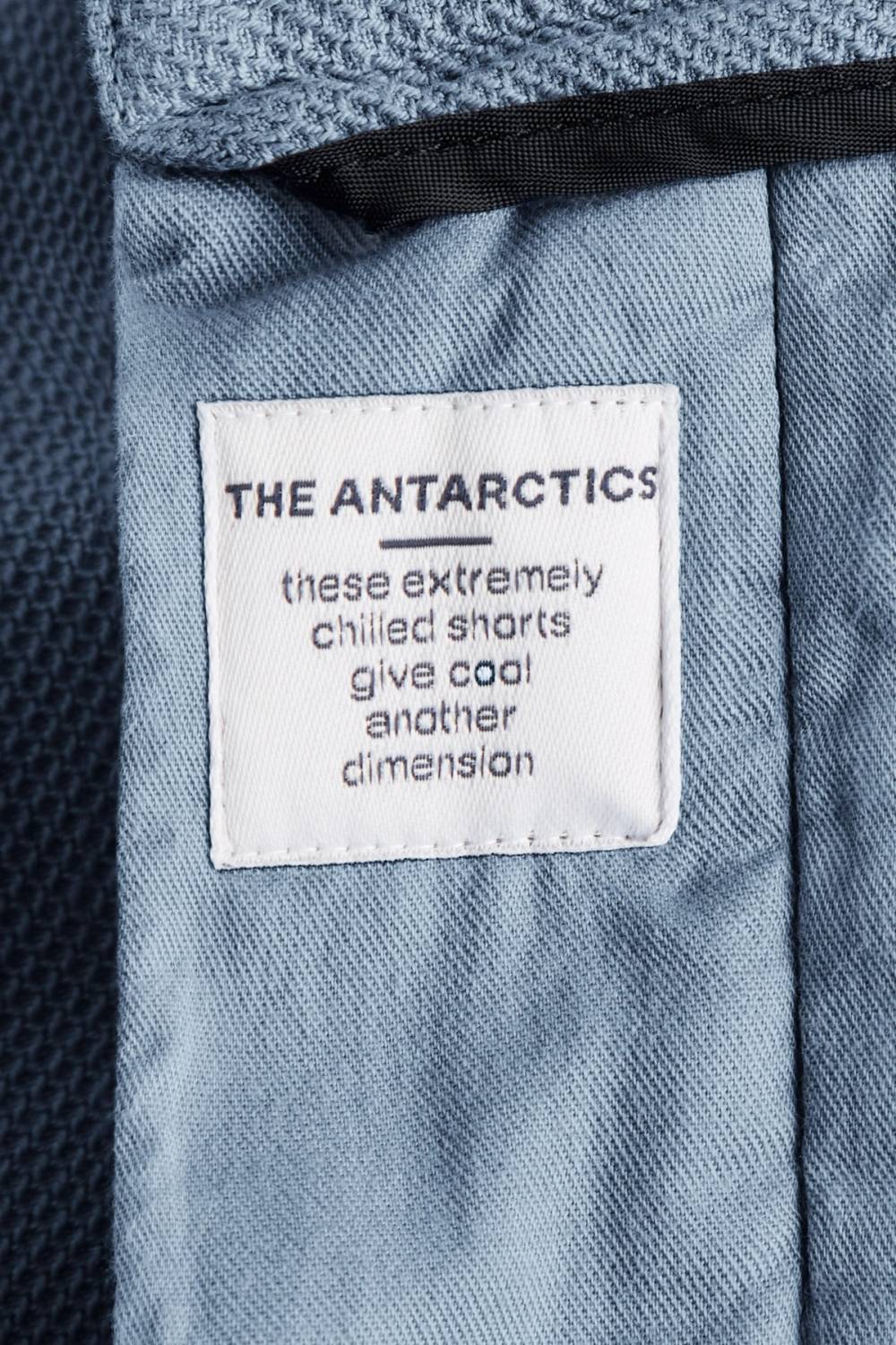 Antarctics * The Piqués