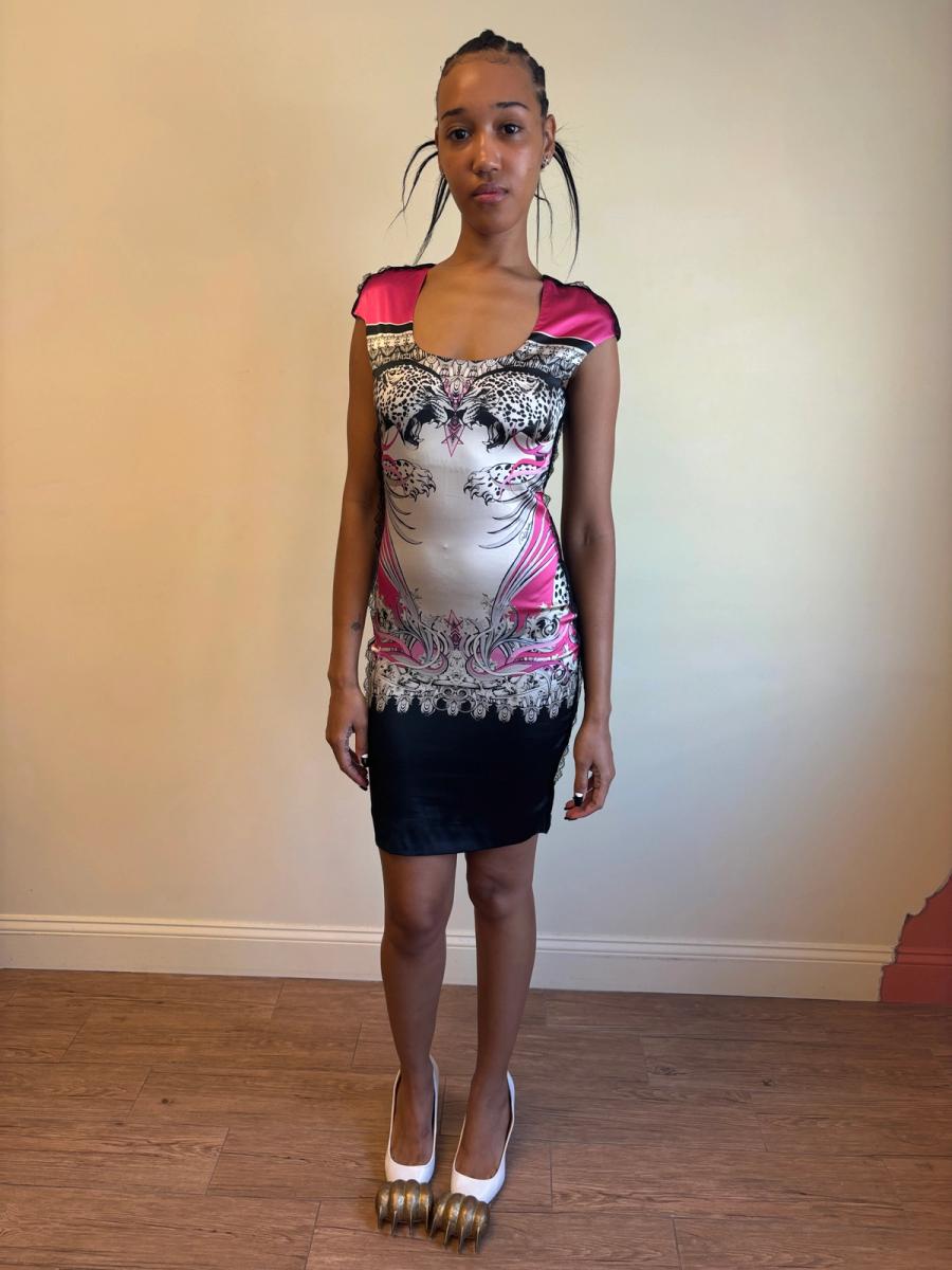 Roberto Cavalli Big Cats Dress product image