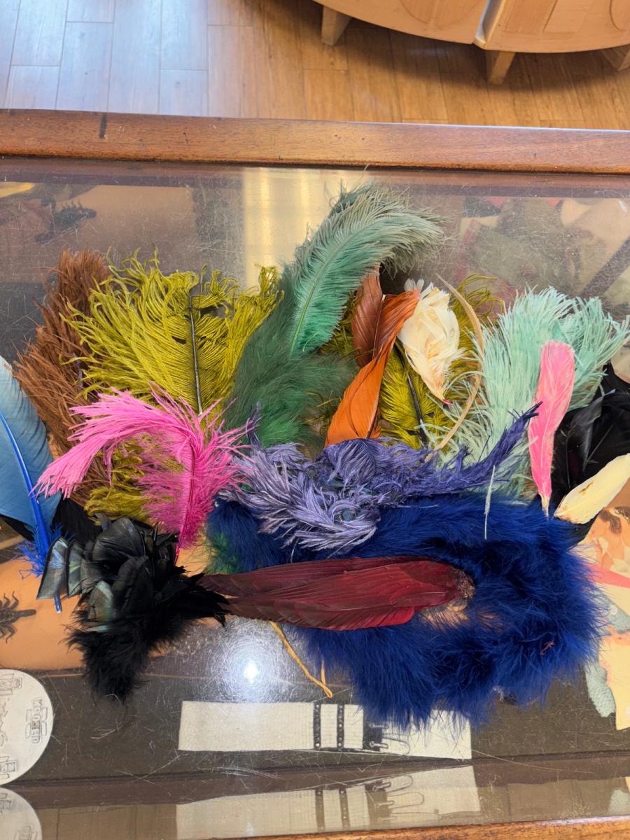 Antique Millinery Feather Lot product image