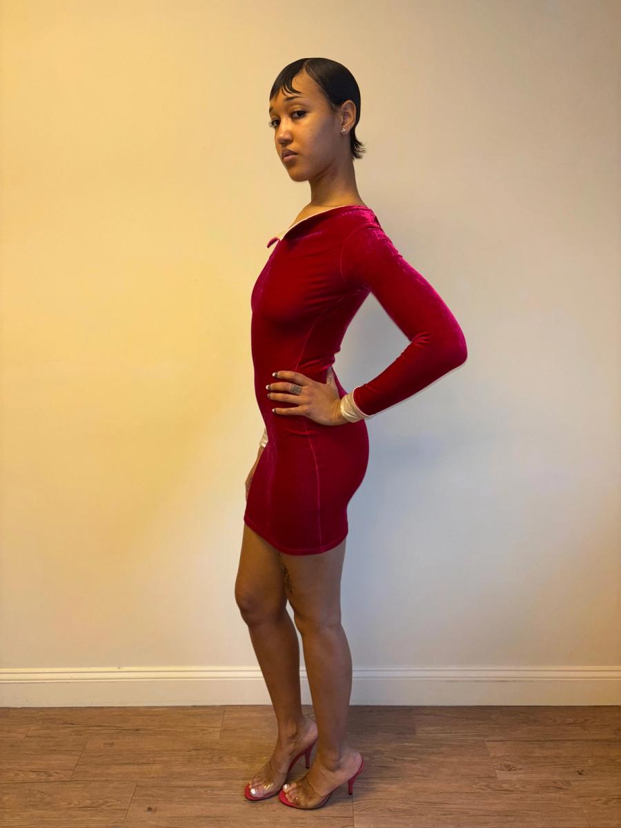 Capucine Puerari Hot Pink Velvet Collared Dress product image