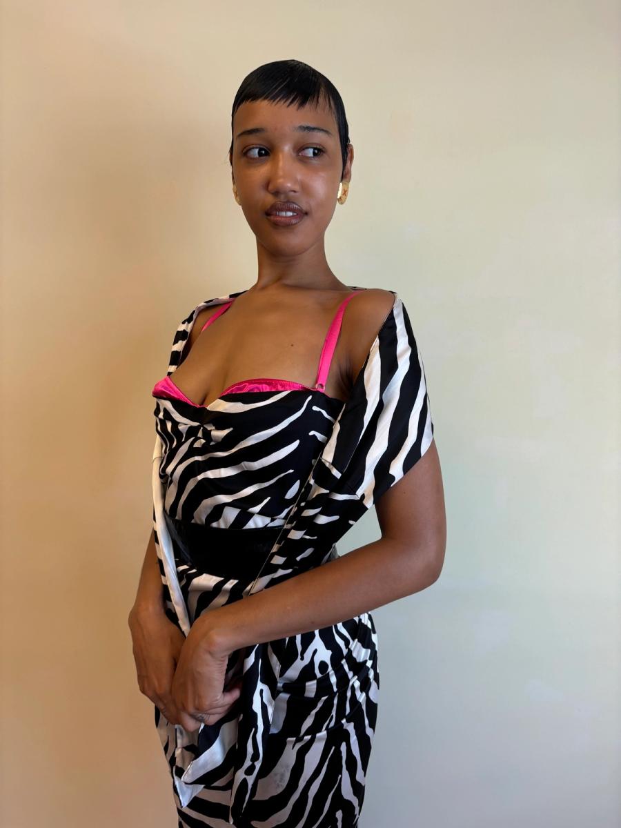 2000s D&G Zebra Print Exposed Bra Dress with Shawl product image