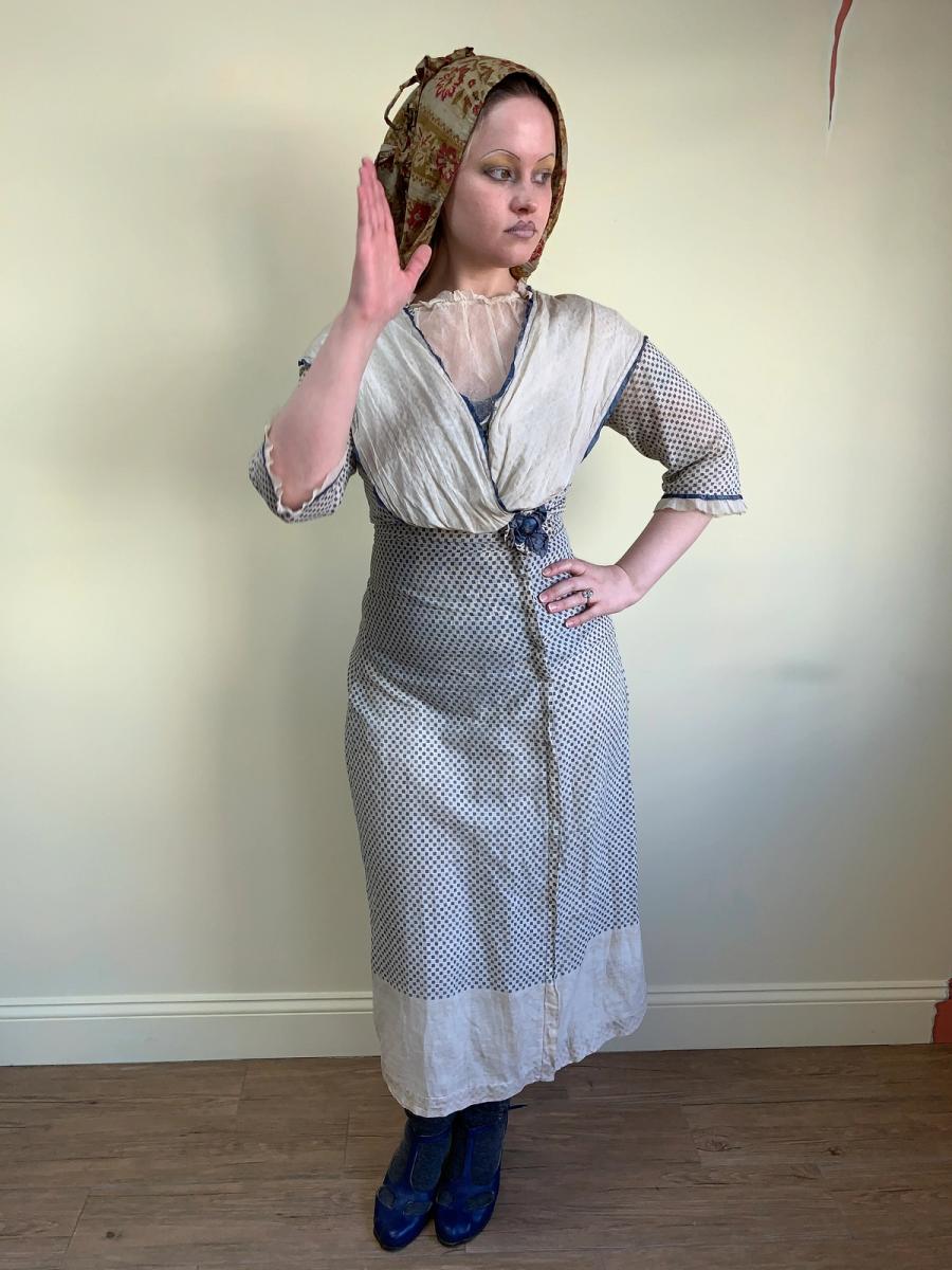 Antique Edwardian Printed Day Dress product image