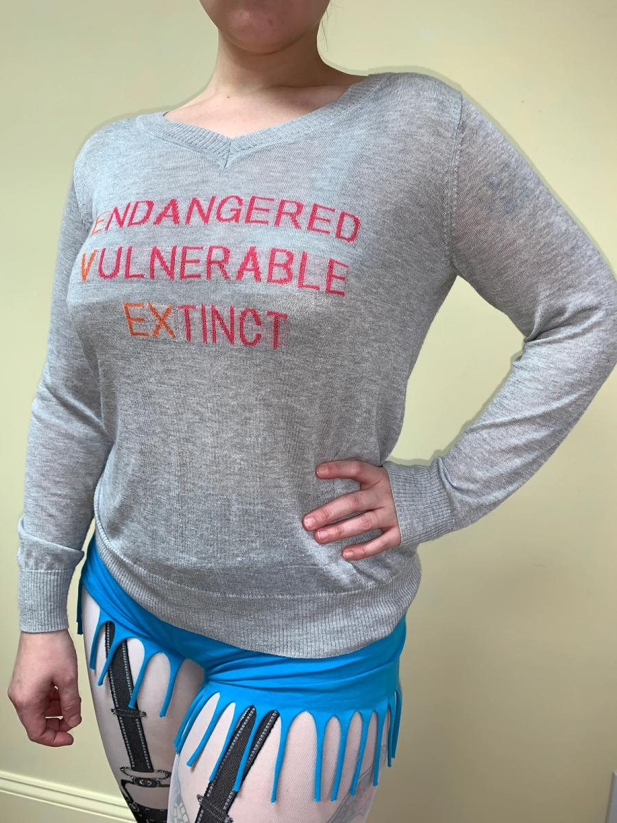 Krizia Endangered Extinct Sweater product image