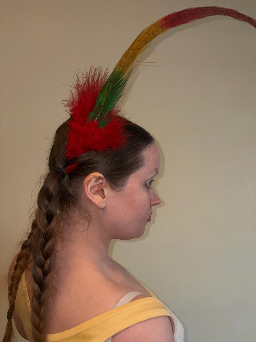 Antique Extra Long Millinery Feather product image