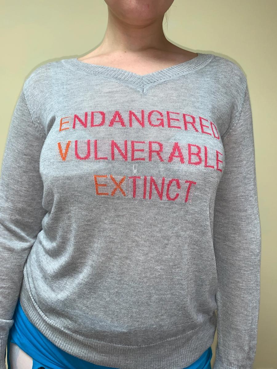 Krizia Endangered Extinct Sweater product image