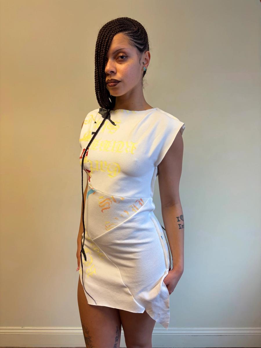 Enfer Rainbow Zebra Minidress product image