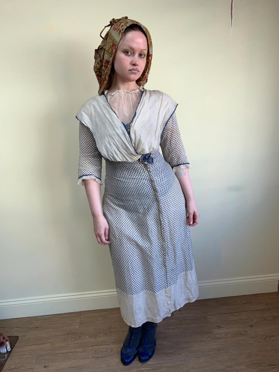 Antique Edwardian Printed Day Dress product image
