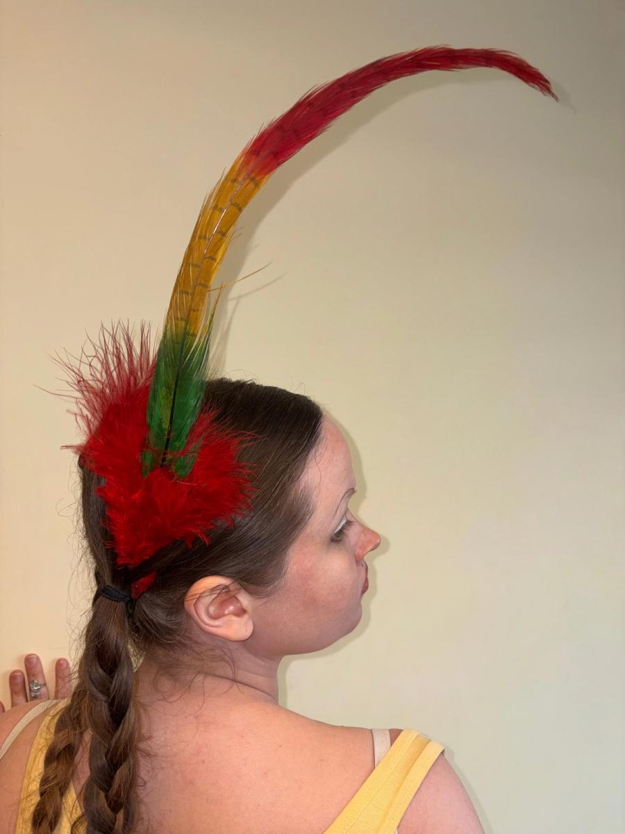 Antique Extra Long Millinery Feather product image