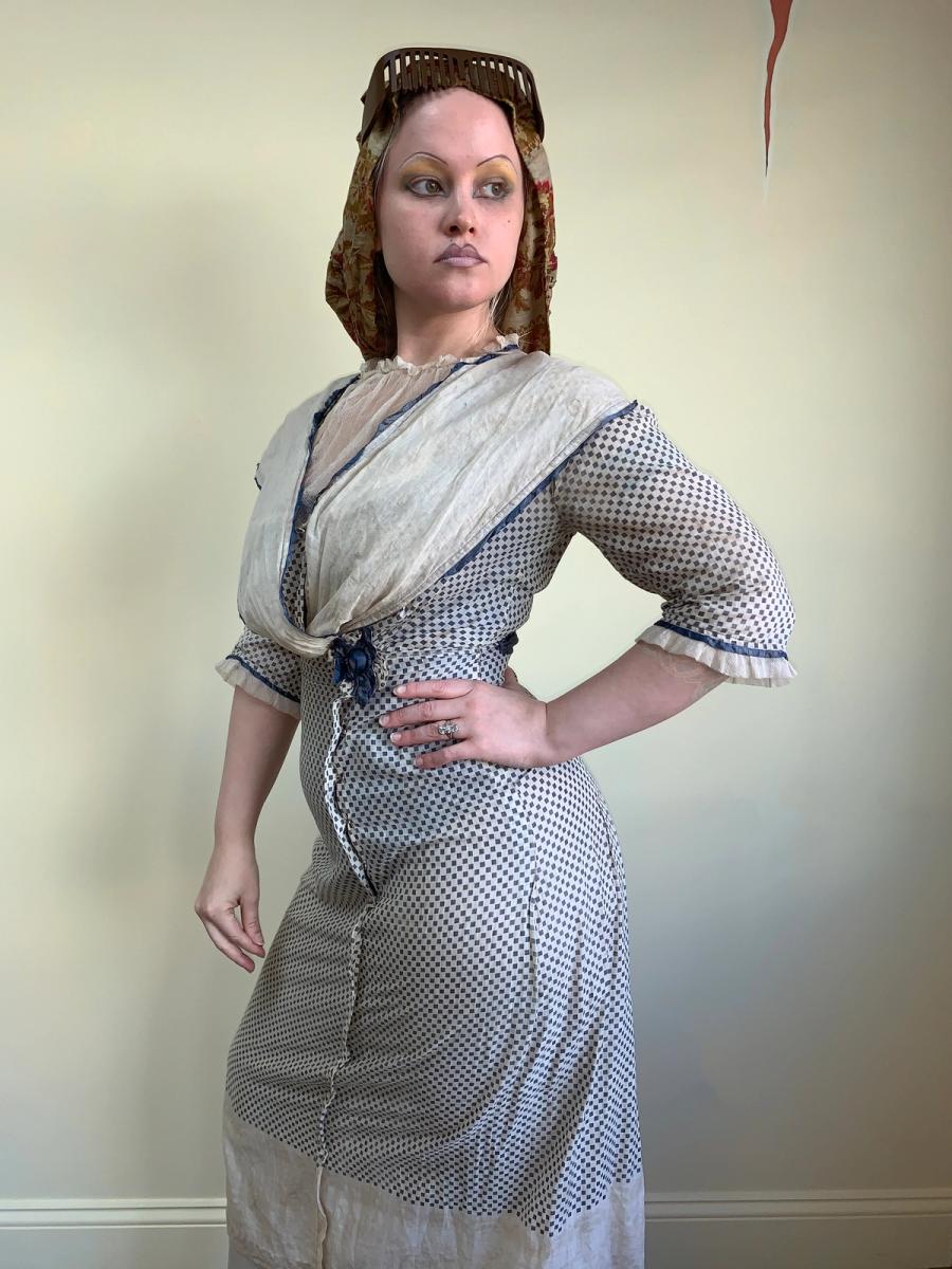 Antique Edwardian Printed Day Dress product image