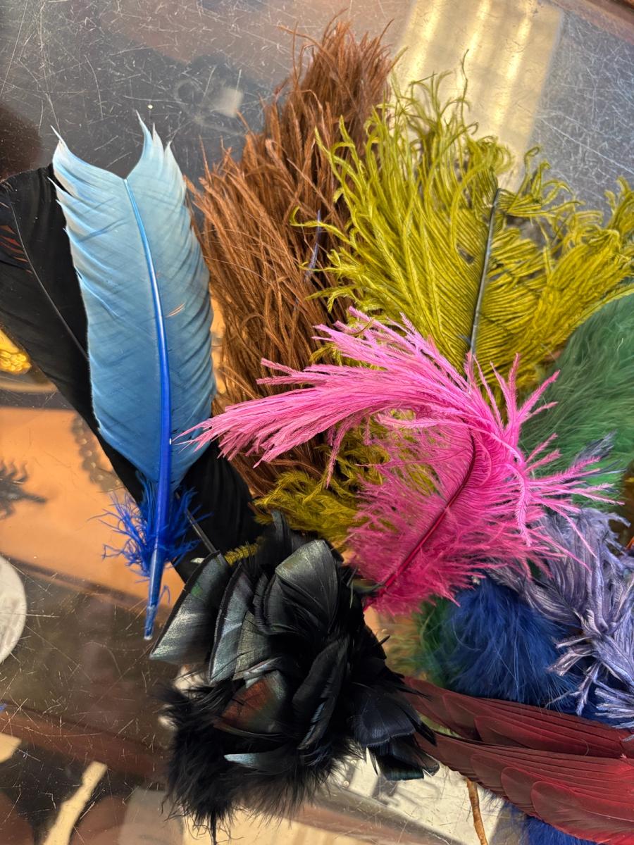 Antique Millinery Feather Lot product image