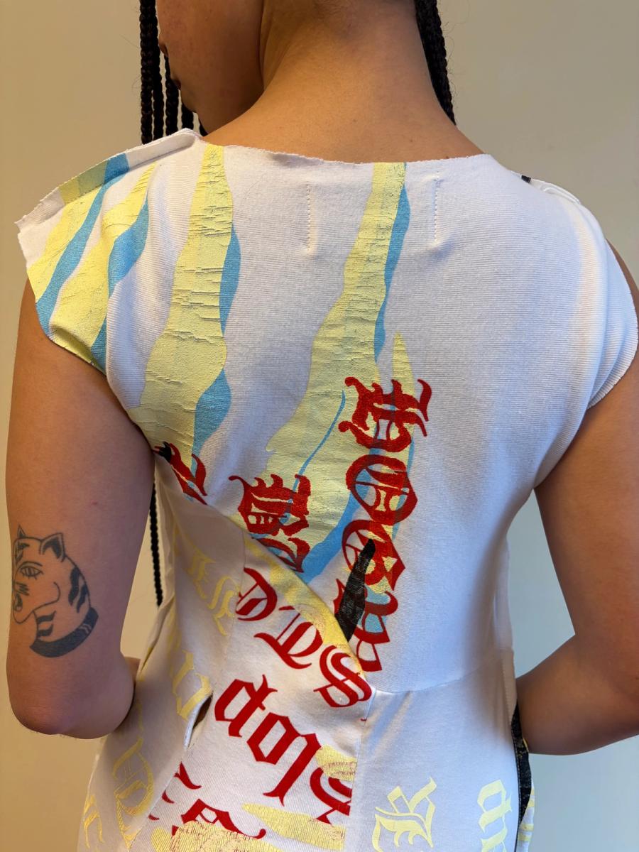 Enfer Rainbow Zebra Minidress  product image