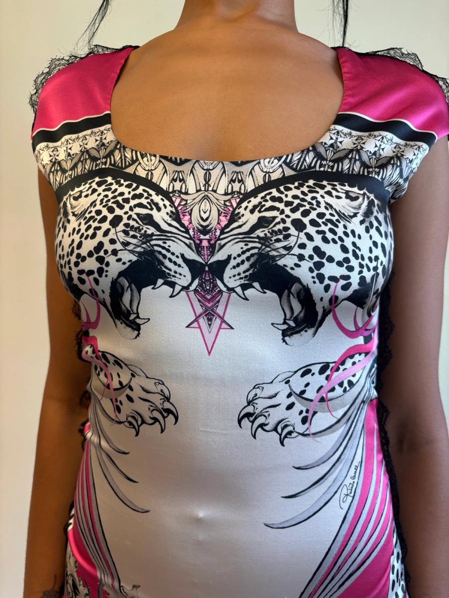 Roberto Cavalli Big Cats Dress product image