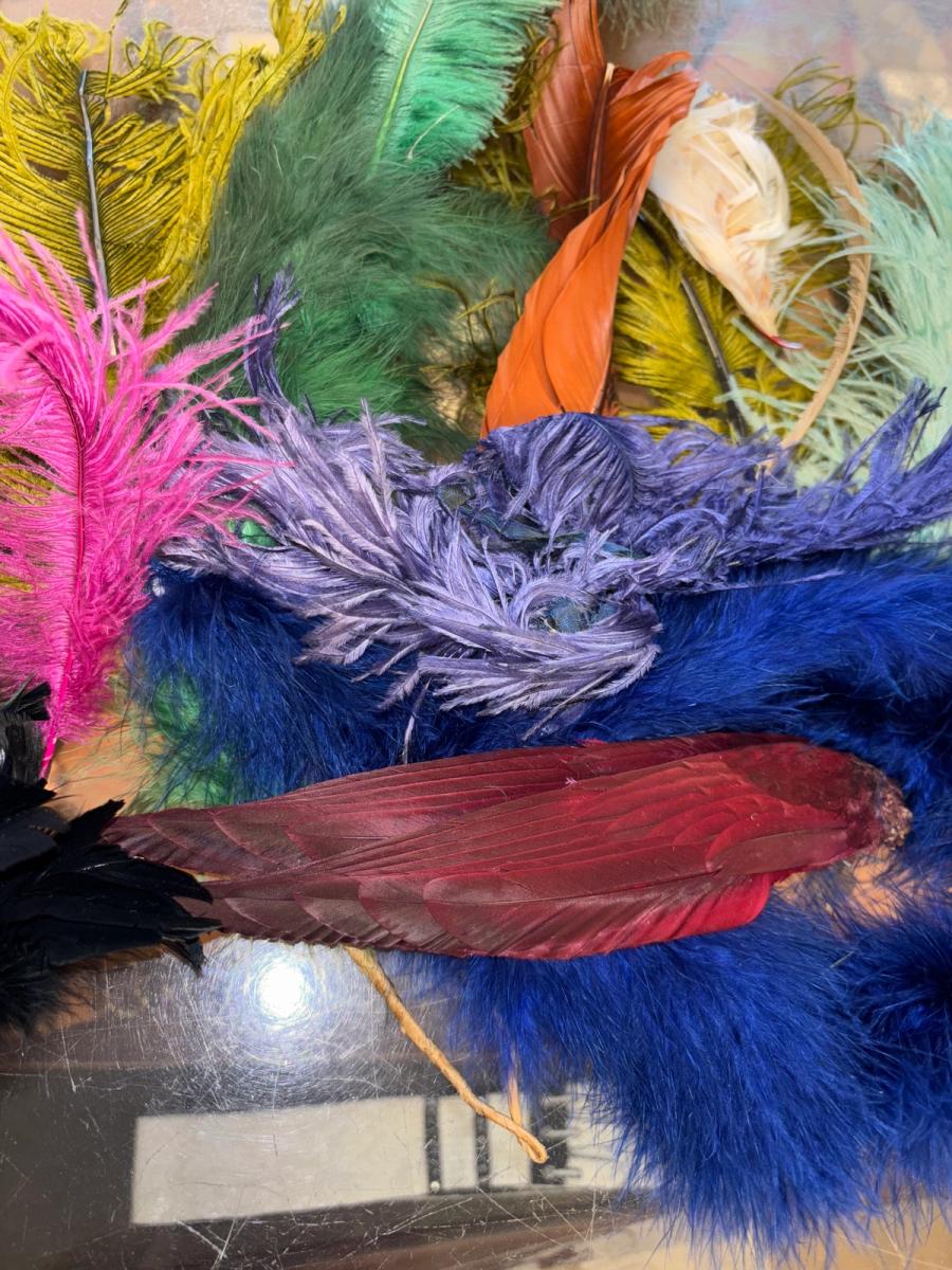 Antique Millinery Feather Lot product image