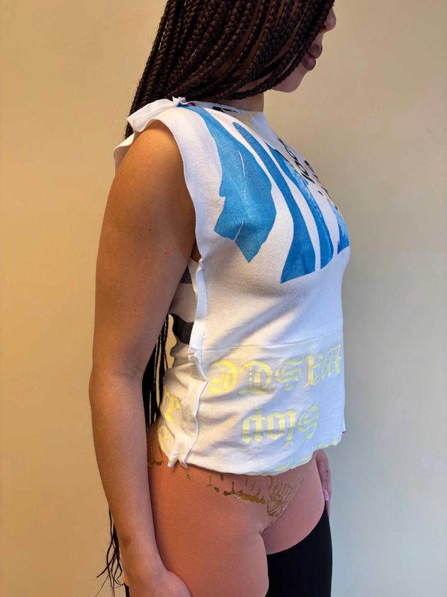 Enfer Rainbow Zebra Top product image