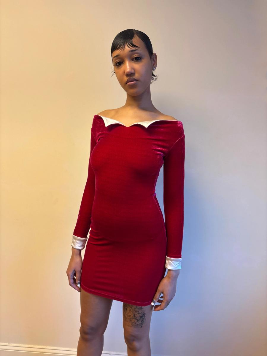 Capucine Puerari Hot Pink Velvet Collared Dress product image