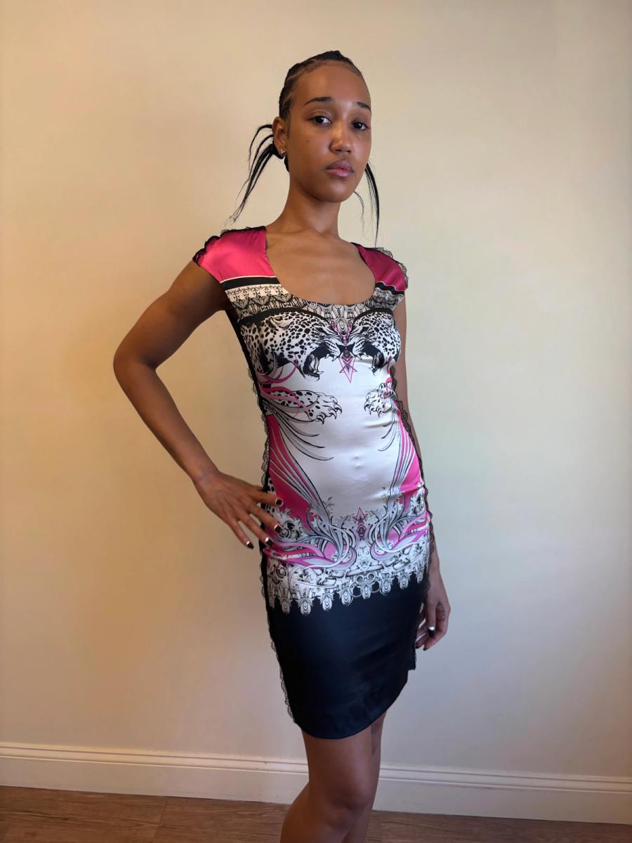 Roberto Cavalli Big Cats Dress product image