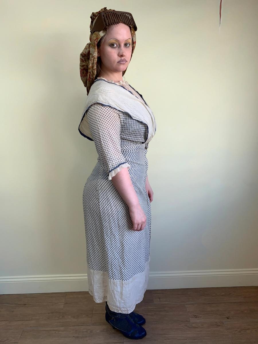 Antique Edwardian Printed Day Dress product image