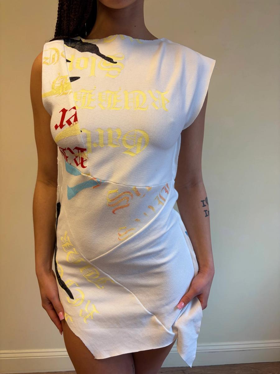 Enfer Rainbow Zebra Minidress  product image