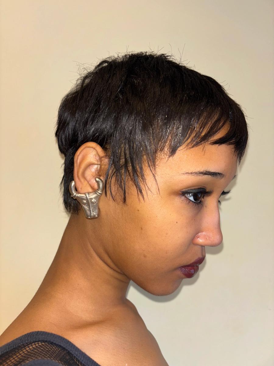 Scooter Paris Bull Earrings product image