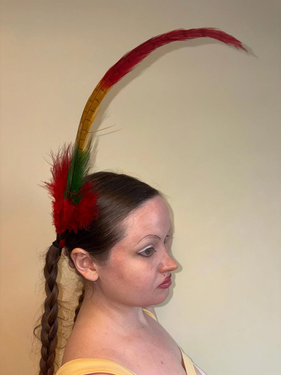 Antique Extra Long Millinery Feather product image