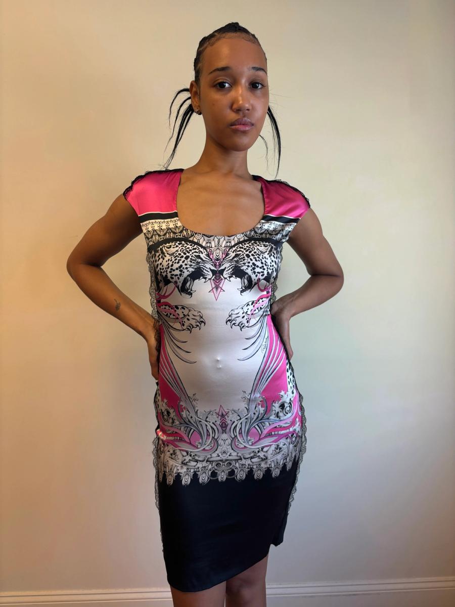 Roberto Cavalli Big Cats Dress product image